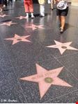 Walk of fame