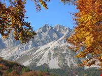 Monte Stivo - Val di Gresta