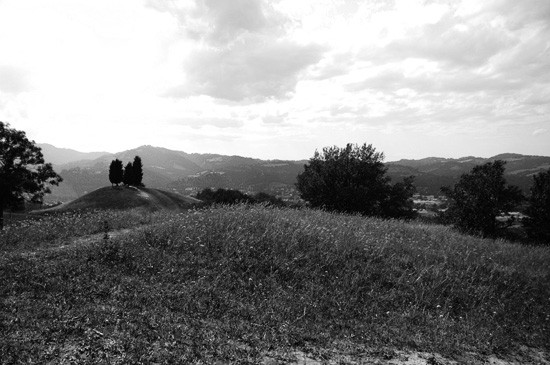 colli bolognesi