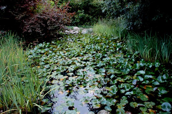giardino del Gulbenkian