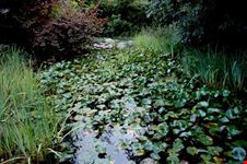 giardino del Gulbenkian