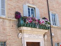 urbino, i balconi fioriti per la festa del Duca