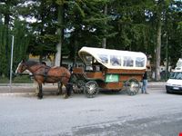 trasporti... alternativi!