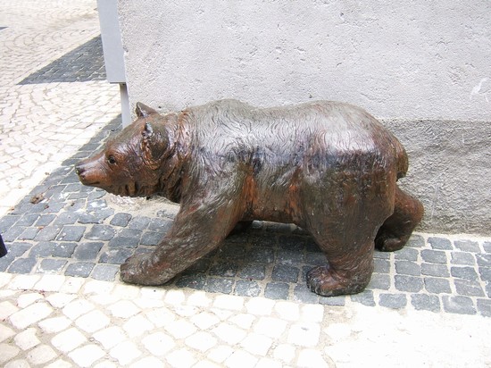 l'orso... in cerca di amici!