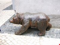 l'orso... in cerca di amici!