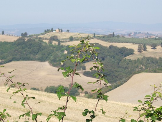 crete senesi viste da Chiusure