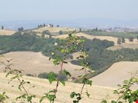 crete senesi viste da Chiusure