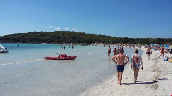 Cala Brandinchi  8 Luglio 2018 Cala Brandinchi  