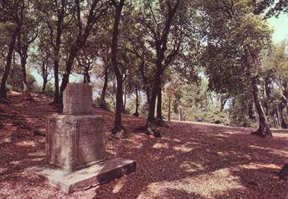 Santuario Bosco Sacro e Cippo della Lex Spoletina