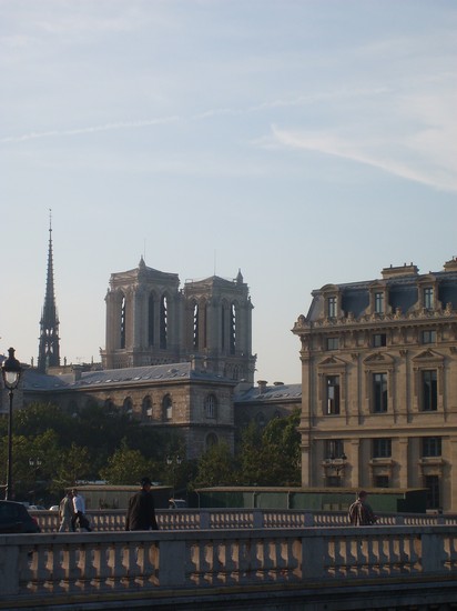 Notre Dame isullo sfondo