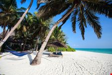 beach view zanzibar