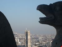 Gargoyle