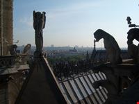 Tetto di Notre  Dame