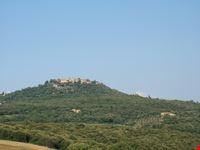 Sant'Angelo in Colle e le vigne di Brunello