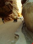 Petra