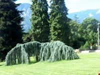 parco, veduta
