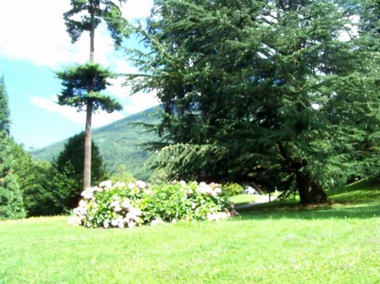 parco, veduta