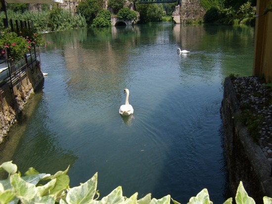 borghetto