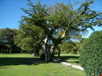 parco giardino sigurtà