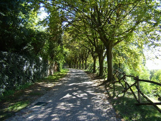parco giardino sigurtà