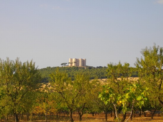 La vista di Castel del Monte