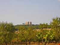 La vista di Castel del Monte