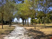 Il parco
