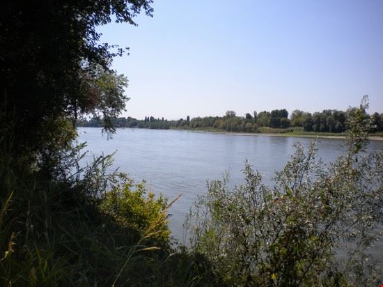 Il Parco del Po Il fiume Po visto dalla riva del Parco a Cremona  