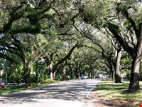 Coconut Grove