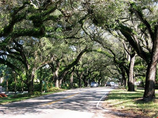 Photo Miami Coconut Grove In Miami Pictures And Images
