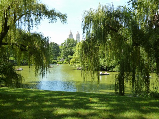 Central Park