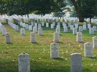 Arlington Cemetery
