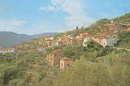 taverna