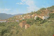 taverna
