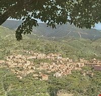 taverna taverna