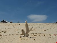 l aspiaggia di samalona jakarta