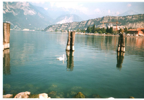 Il Lago di Garda