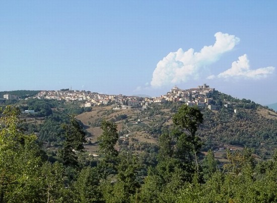 Panorama