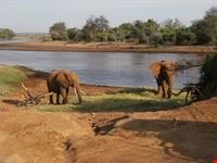 tsavo ovest nairobi