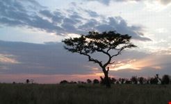 tsavo ovest tramonto nairobi