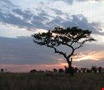 tsavo ovest tramonto nairobi tsavo ovest tramonto nairobi