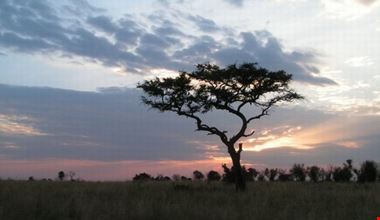 tsavo ovest tramonto nairobi tsavo ovest tramonto nairobi