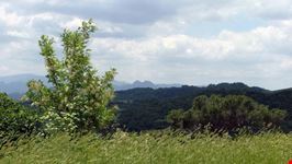 Il territorio di Tricarico verso le dolomiti lucane