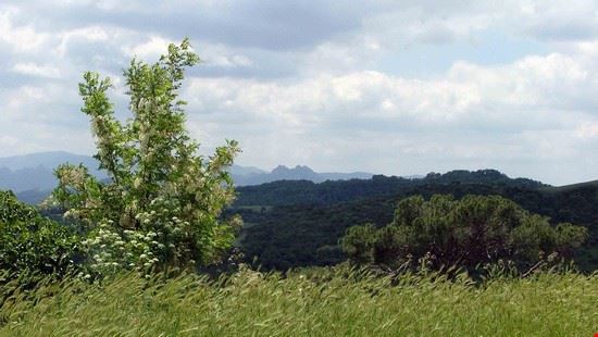  Scorcio panoramico dei boschi di Tricarico verso il fiume Basento e le dolomiti lucane.  