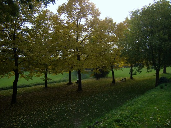 castiglione delle stiviere