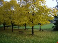 castiglione delle stiviere
