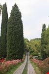 Parco Sigurtà