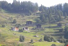 Masi in Val di Pejo