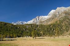 Parco naturale nelle Alpi