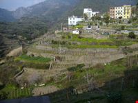 Corniglia